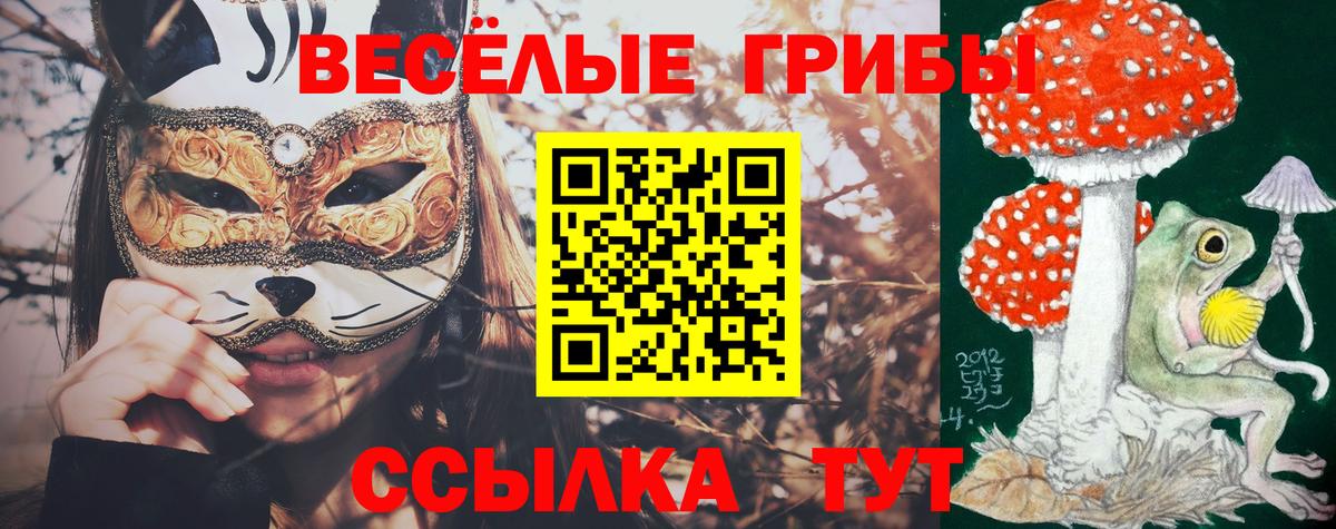 Псилоцибиновые грибы прущие грибы Красный Сулин