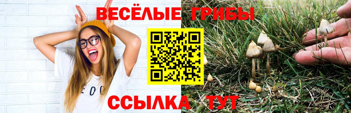 Псилоцибиновые грибы прущие грибы  Вход с VPN  Красный Сулин 